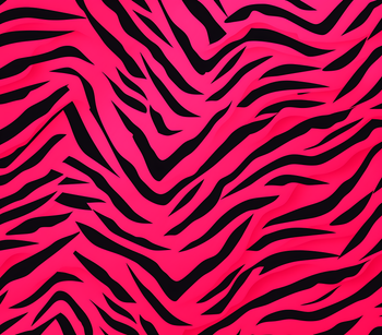 Pink Zebra | Athleisure Collection – Stylish, Comfortable Activewear