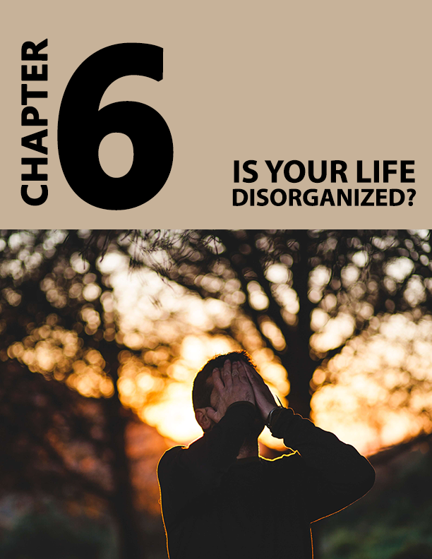 The Organised Life - How To Overcome A Cluttered Mind And Take Back Your Life eBook