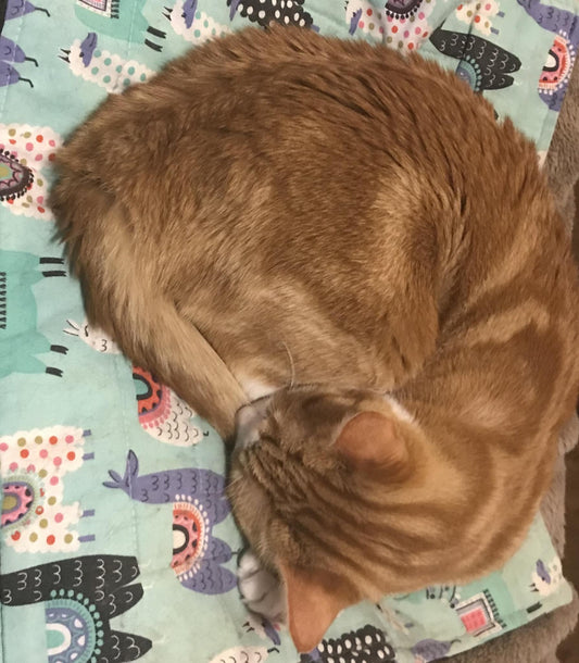 Lama cat nap mat