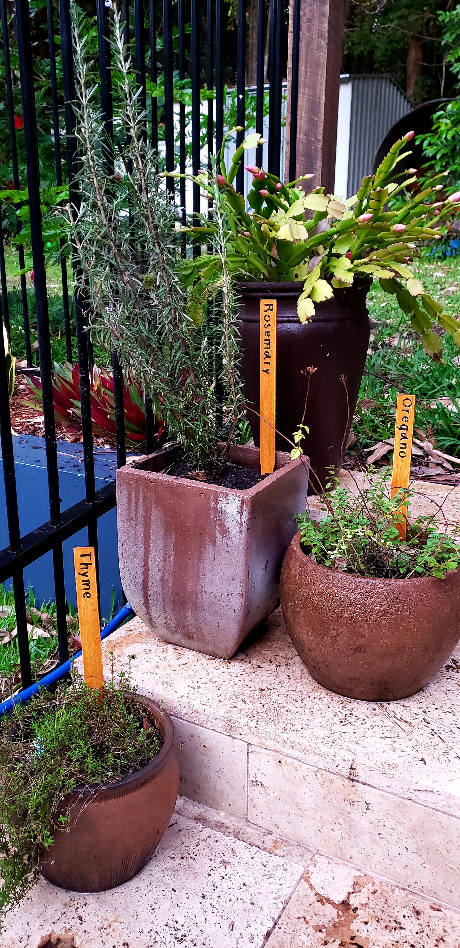 Personalised Plant Markers - Herb, Vegetables, Plants (Just for fun) - Harlan House & Home